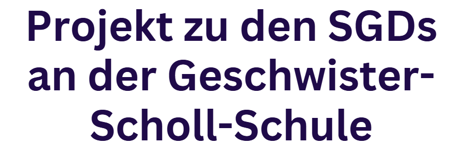 Projekt zu den SDGs an der Geschwister-Scholl-Schule